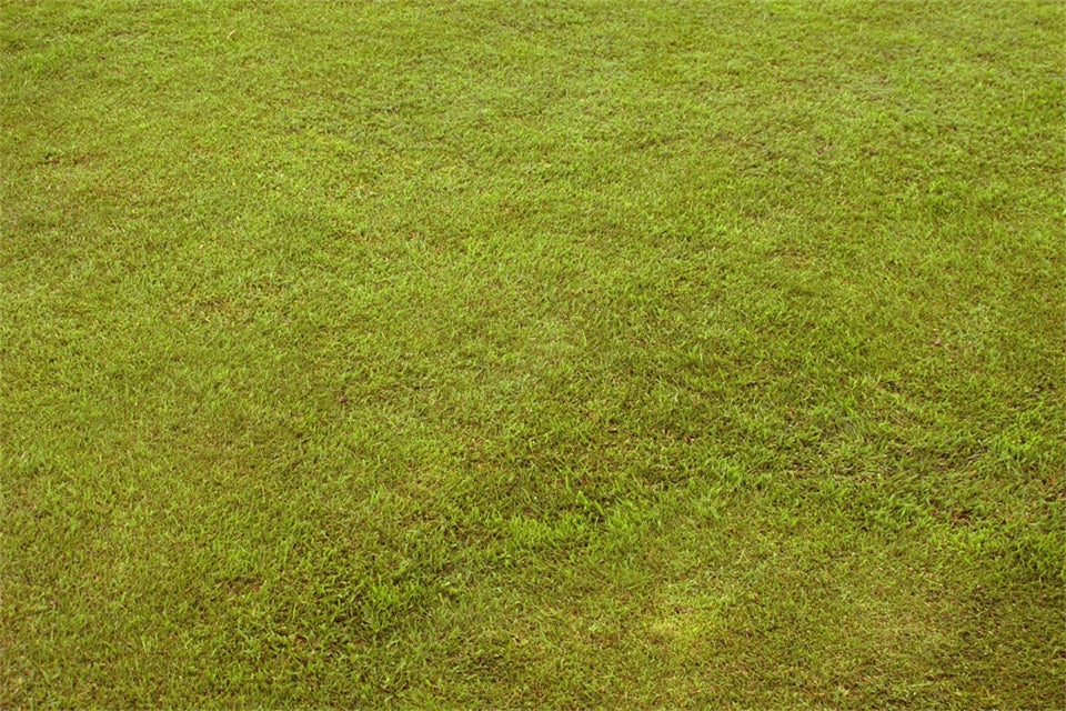 Photo Backdrop Floor Pastel Green Grass Floor Backdrop UK TWW57-3
