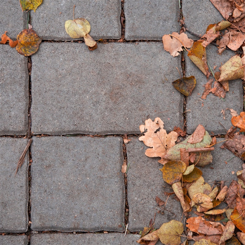 Photography Floor Backdrops Fall Leaves Brick Floor Backdrop UK TWW57-7