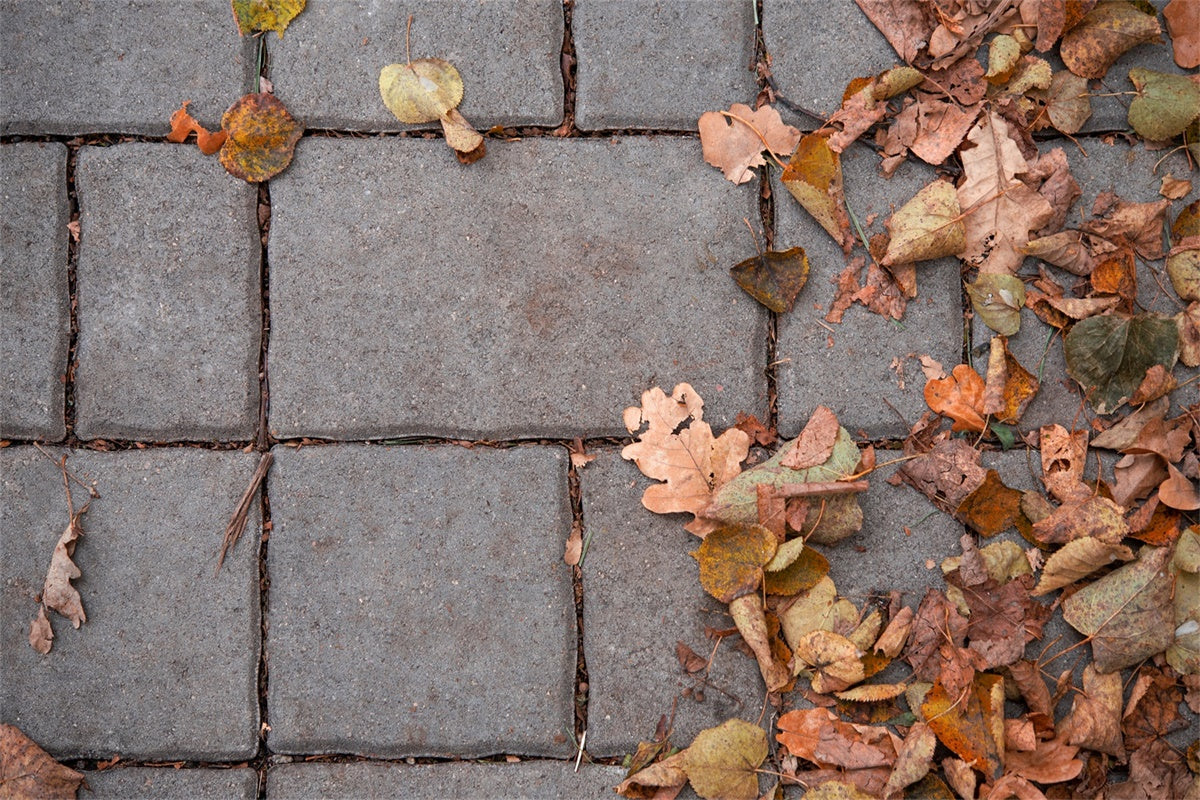 Photography Floor Backdrops Fall Leaves Brick Floor Backdrop UK TWW57-7