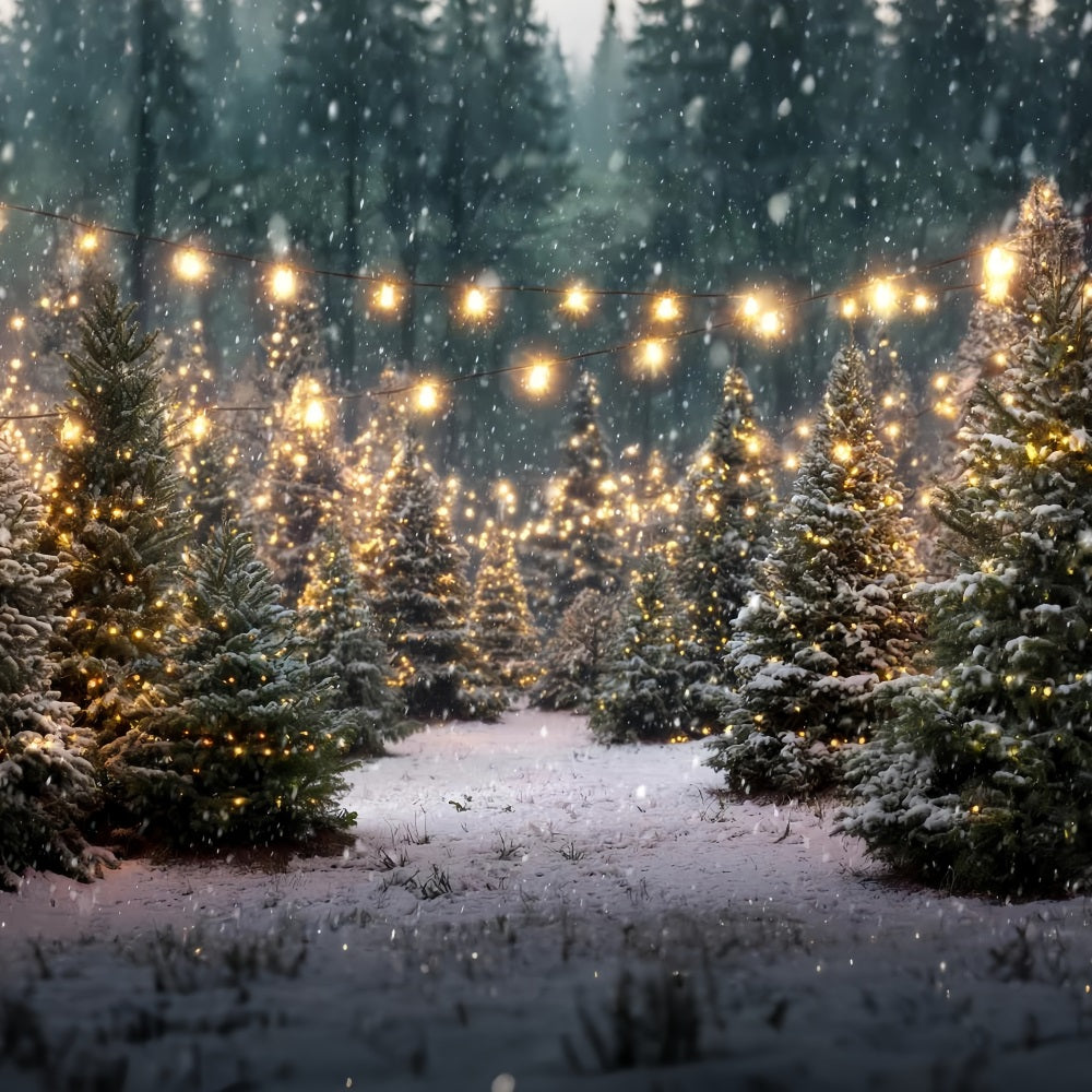 Christmas Farm Backdrop Twinkling Forest Lights Christmas Tree Backdrop UK TWW59-116