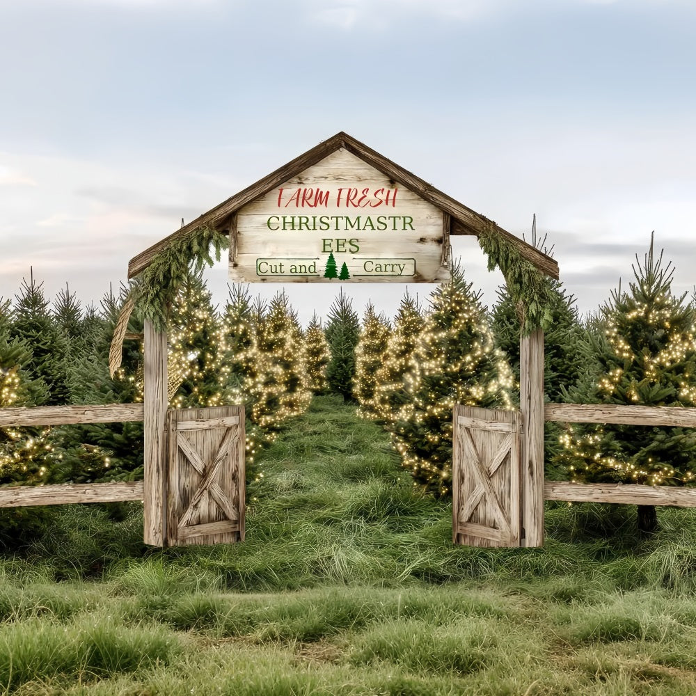 Christmas Farm Backdrop Farm Fresh Evergreen Path Professional Christmas Backdrops UK TWW59-124