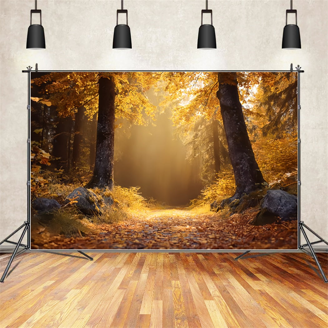 Fall Forest Backdrop Golden Autumn Sunlit Trail Forest Backdrops UK TWW59-138