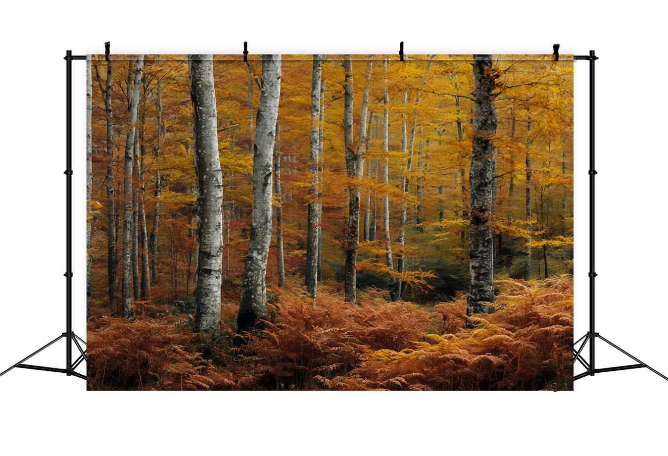 Fall Forest Backdrop Golden Autumn Birch Woods Forest Scene Backdrop UK TWW59-149