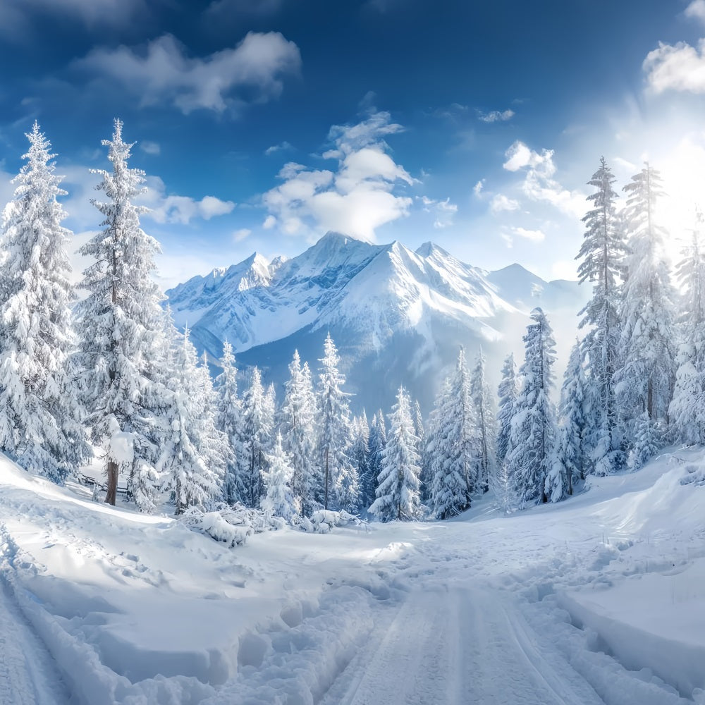 Snowy Forest Backdrop Winter Mountains Pine Valley Forest Backdrop UK TWW59-153
