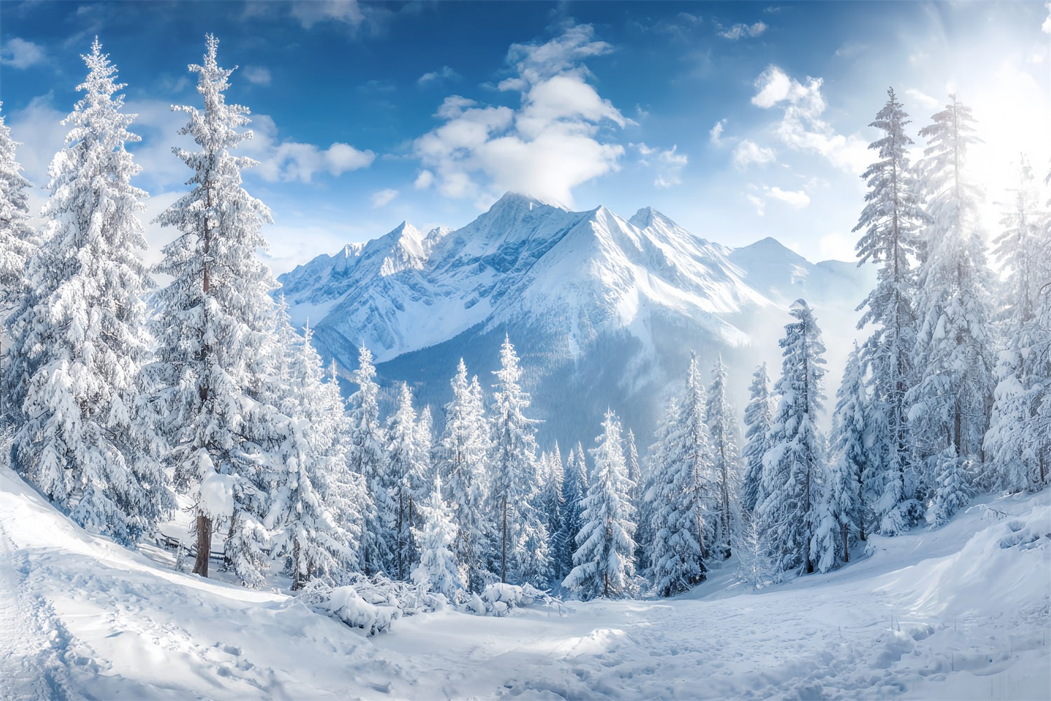 Snowy Forest Backdrop Winter Mountains Pine Valley Forest Backdrop UK TWW59-153