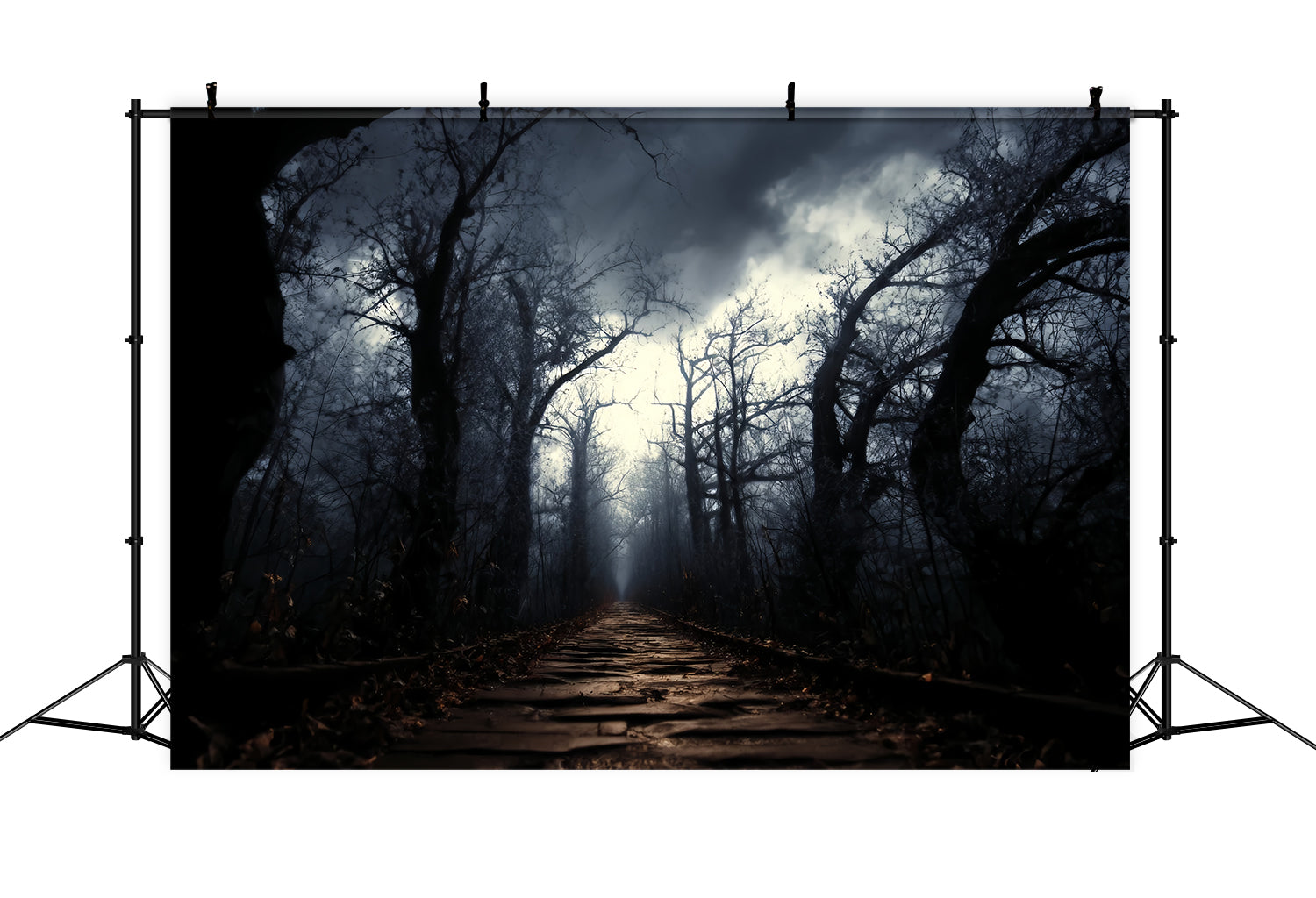 Spooky Forest Backdrop Dark Haunted Pathway Mist Dark Forest Backdrop UK TWW59-159