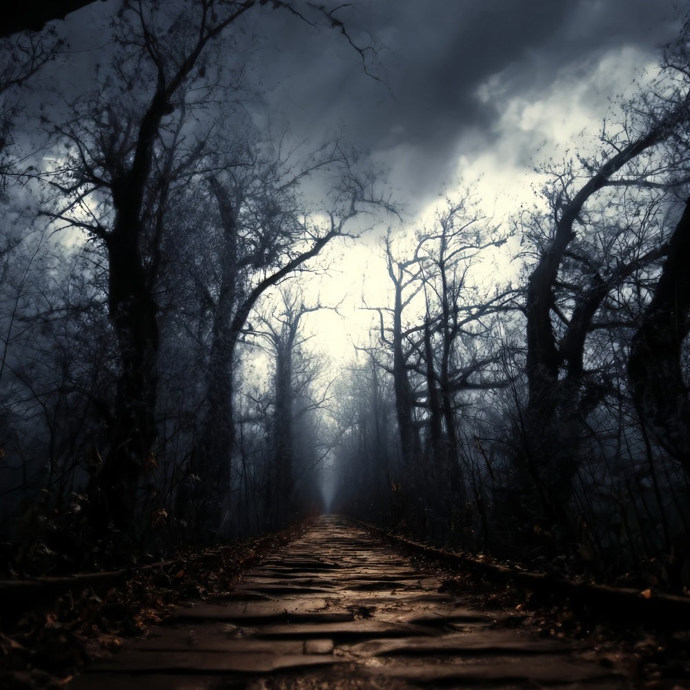 Spooky Forest Backdrop Dark Haunted Pathway Mist Dark Forest Backdrop UK TWW59-159