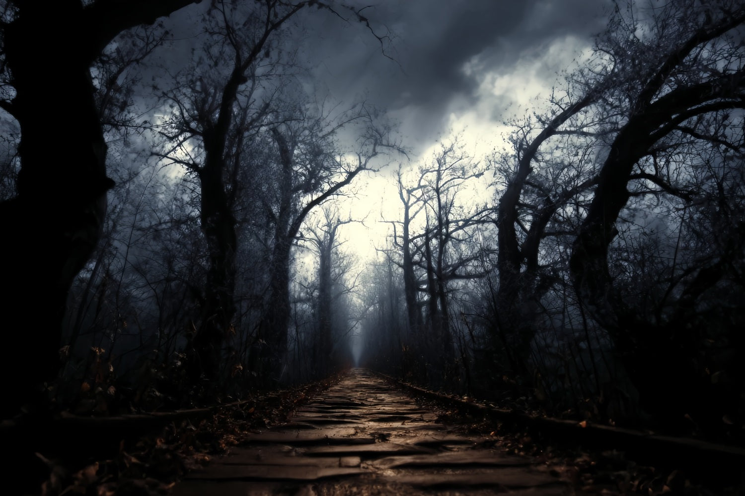 Spooky Forest Backdrop Dark Haunted Pathway Mist Dark Forest Backdrop UK TWW59-159