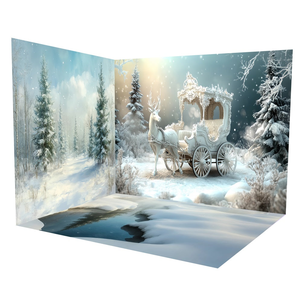 Christmas Backdrops For Photos Snowy Carriage Winter Backdrop Room Set UK TWW6-106