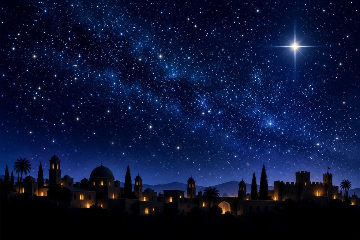 Nativity Scene Backdrop Nativity Stable Snowy Village Christmas Photo Backdrop Ideas UK ZTT610-38