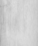 White Concrete Wall Texture backdrop UK for Photography M229