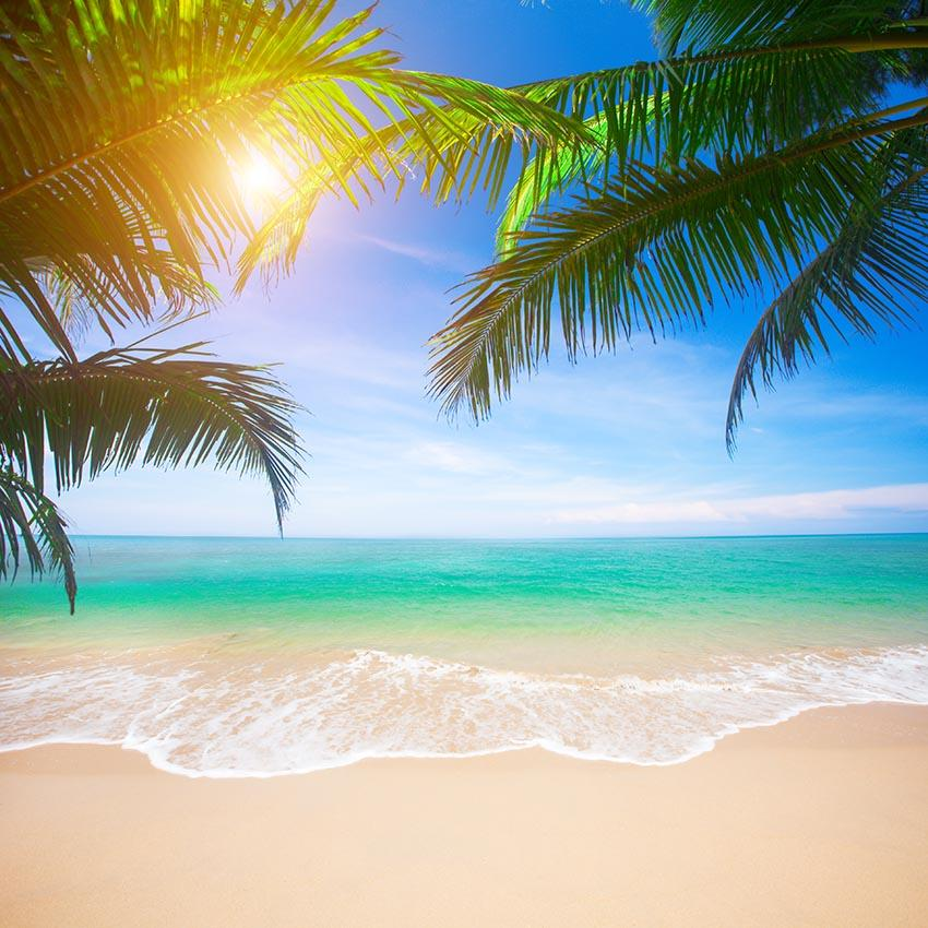 Scenic Ocean Beach Summer Holiday Backdrop