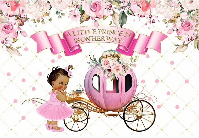 Pink Pumpkin Carriage Flower Background for Baby Photography BA27