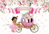 Pink Pumpkin Carriage Flower Background for Baby Photography BA27