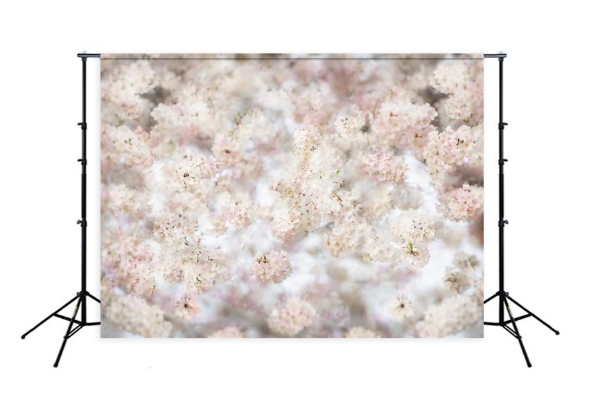 White Pink Spring Flowers Photography Backdrop UK Designed by Beth Hrachovina