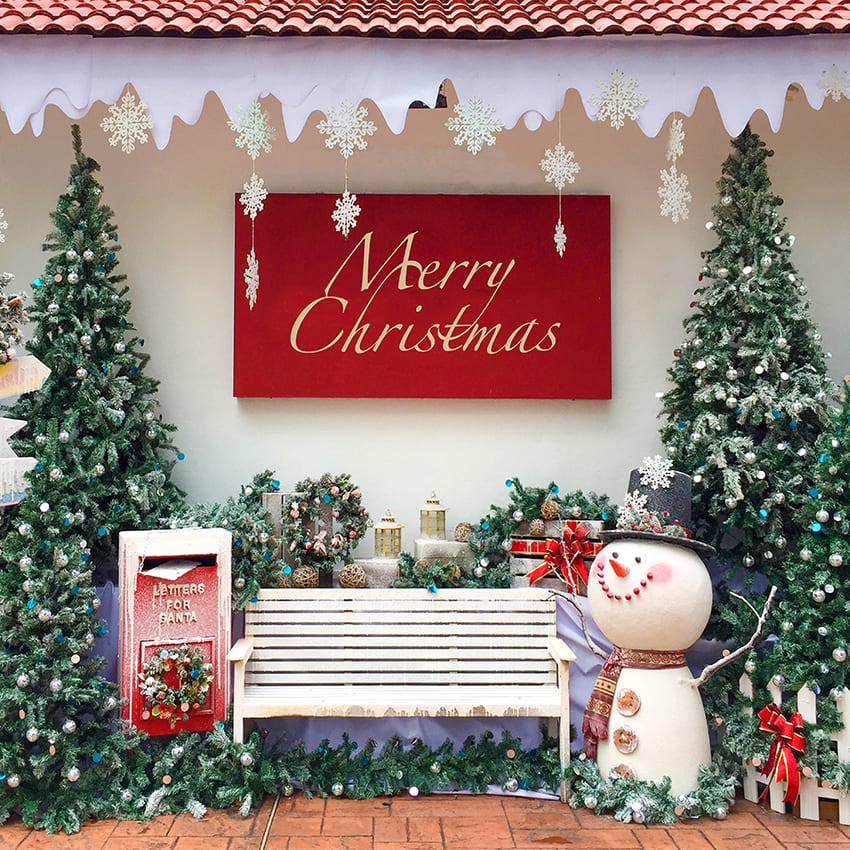 Merry Christmas Mini Sessions Photography Backdrop D1006