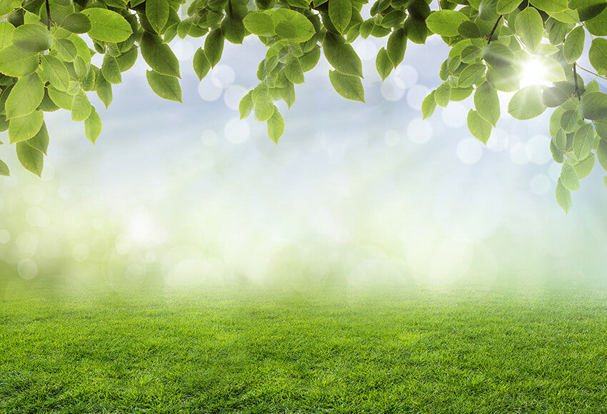 Spring Leaves Grass Sunshine Bokeh Backdrop UK D1060