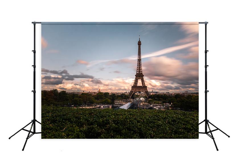 Paris Eiffel Tower City Landscape Backdrop UK for Photography D119