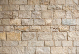 Brown Brick Wall Textured Backdrop for Photo Studio D132