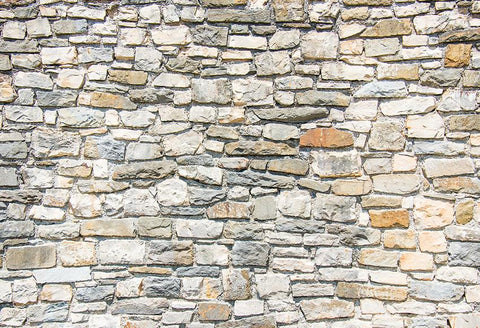 Stone Wall Close Up Backdrop for Photography D136