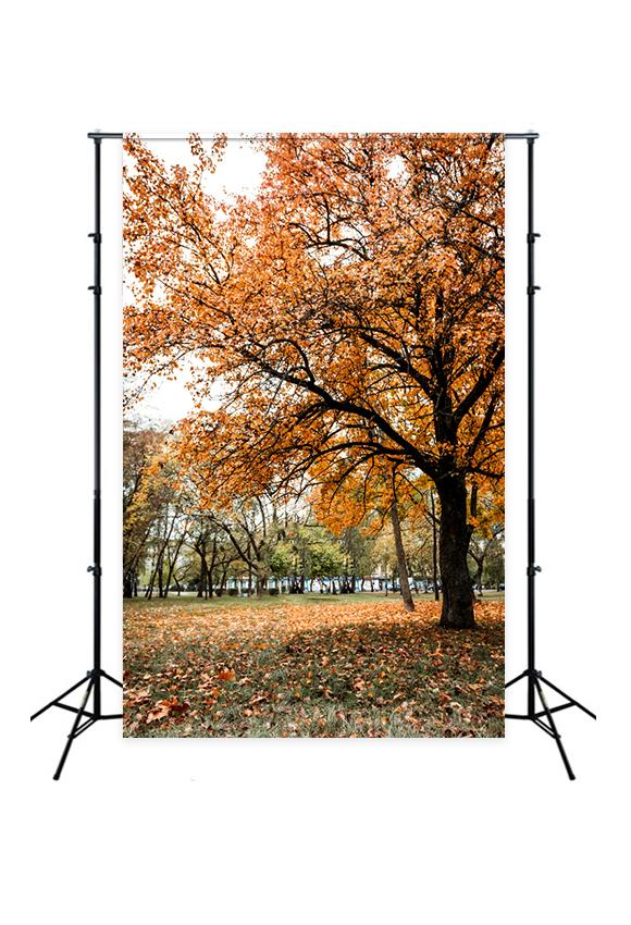 Autumn Forest Yellow Leaves Photography Backdrop UK D348