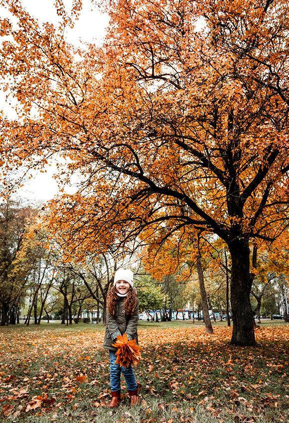 Autumn Forest Yellow Leaves Photography Backdrop UK D348