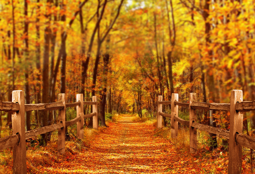 Fall Outdoor Road Scene Photo Backdrop