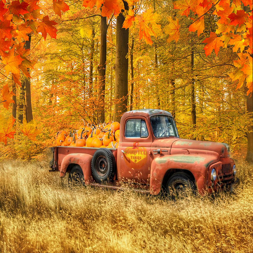 Fall Harvest Pumpkin Truck Thanksgiving Backdrop
