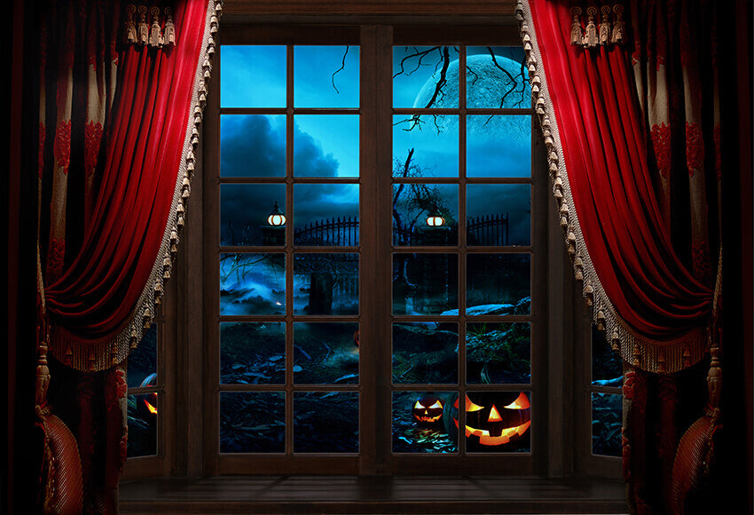 Christmas Window Outdoor Pumpkin Backdrop for Photography UK