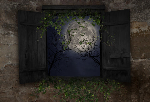 Halloween Backdrop Window Moon Scene for Photo Shoot