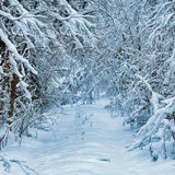 Winter Snowy Road Fir Tree Photography Backdrop UK D905