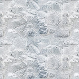 Winter Frosted Stone Road Photography Backdrop UK D907