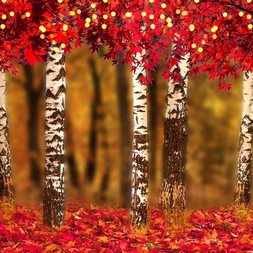 Autumn Maple Leaves Photography Backdrop UK D910