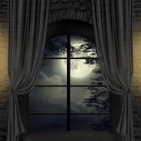 Mansion Moonlight Window Halloween Backdrop UK D911