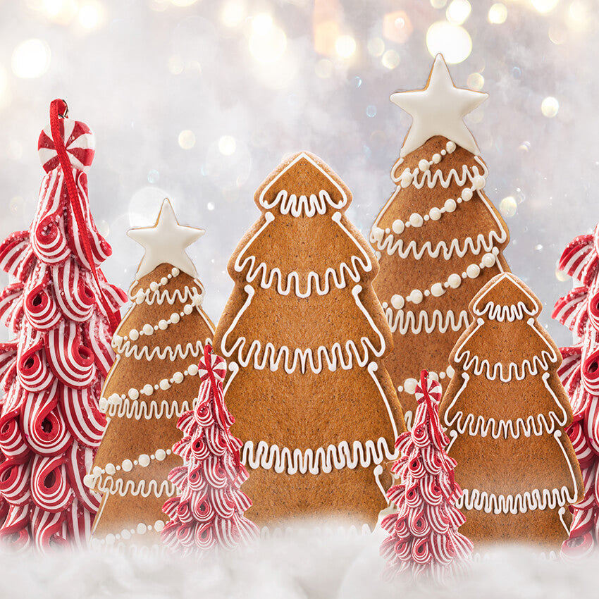 Christmas Gingerbread Forest Photography Backdrop UK D913