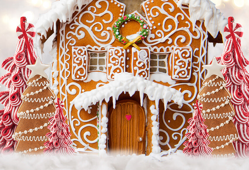 Gingerbread Christmas Photography Decor Backdrop D944