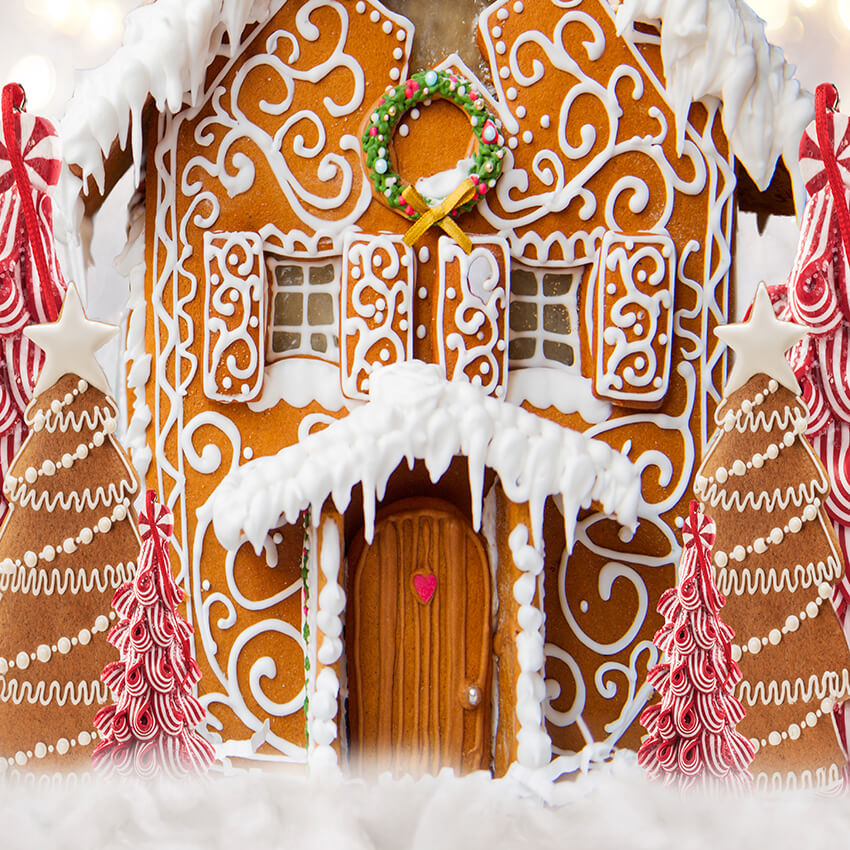 Gingerbread Christmas Photography Decor Backdrop D944