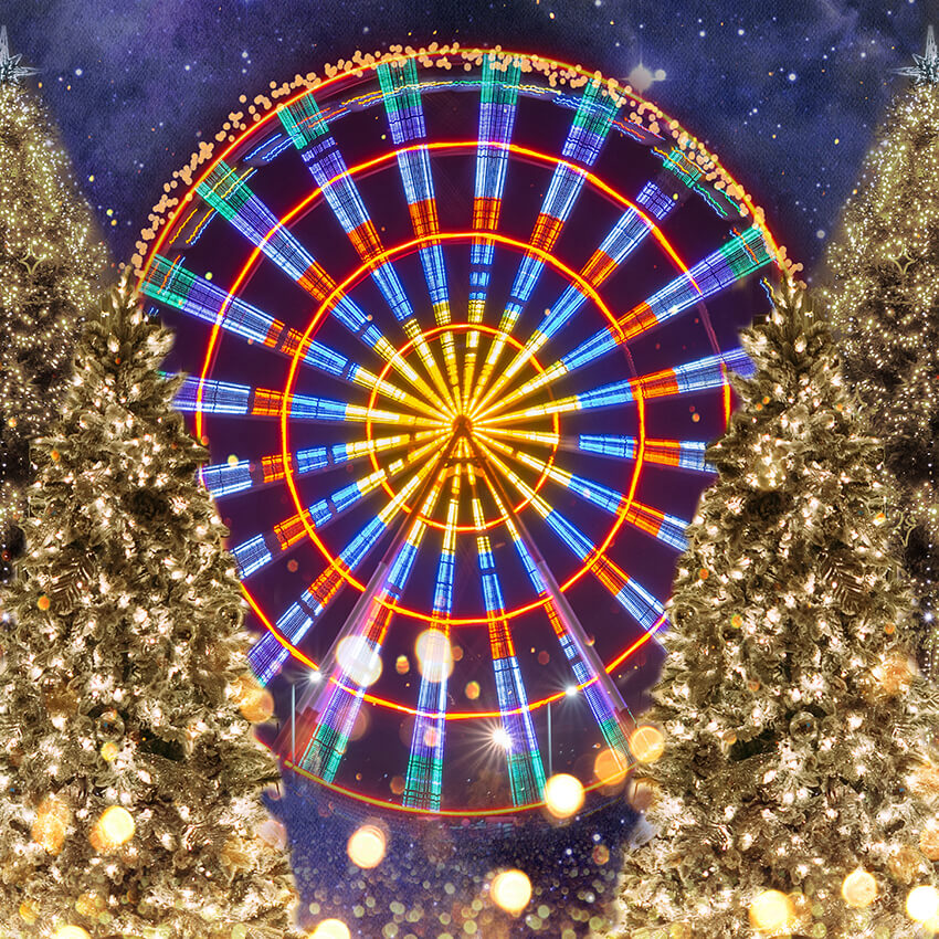 Ferris Wheel Christmas Tree Lights Backdrop D949