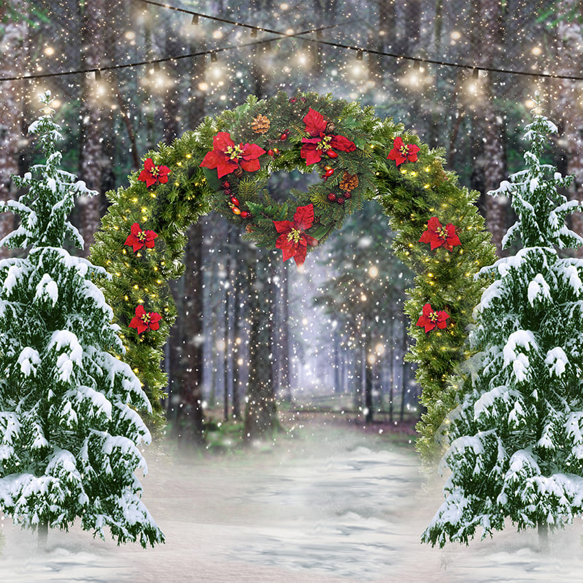 Winter Forest Christmas Tree Arch Backdrop D972