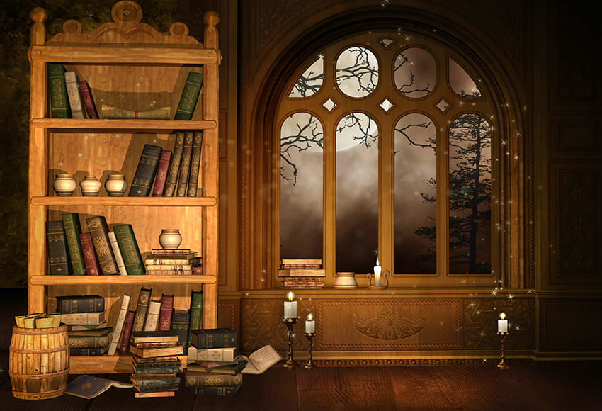 Wizard Library Bookshelf Window Backdrop