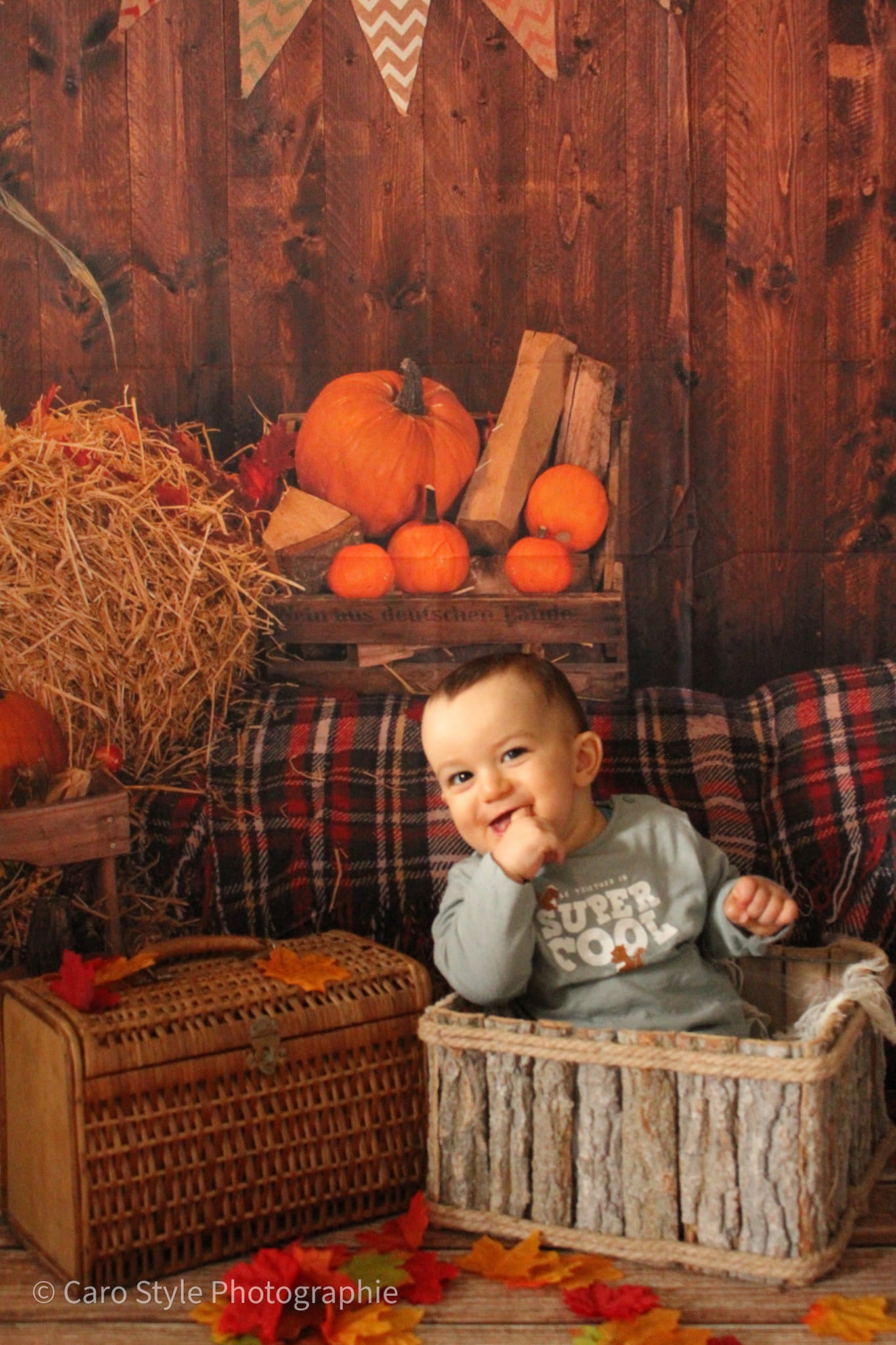 Fall Farm Pumpkin Straw Wood for Pictures DBD-H19037