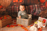 Fall Farm Pumpkin Straw Wood for Pictures DBD-H19037