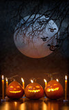Halloween Pumpkin Lanterns Candles Backdrop UK DBD-P19112