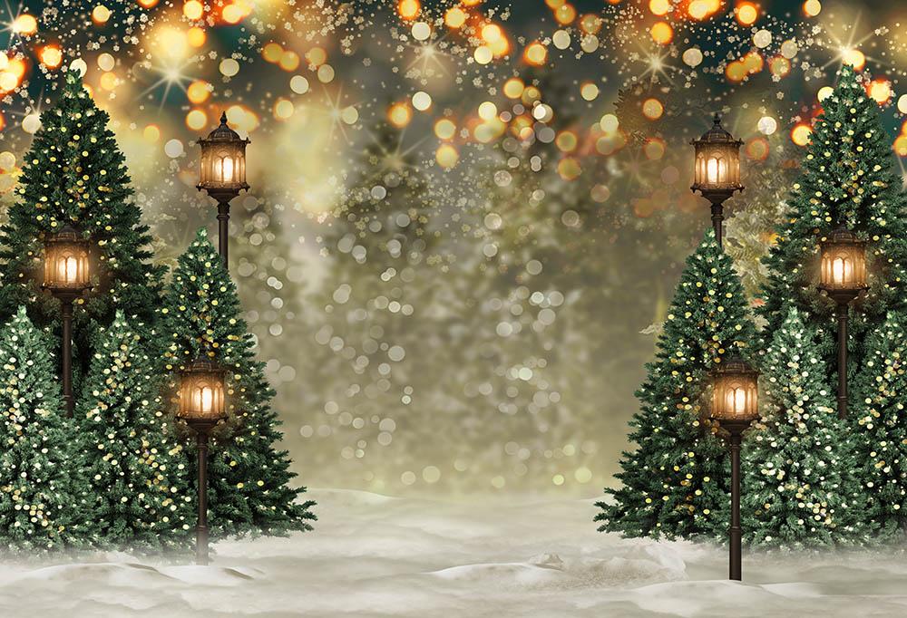 Outdoor Christmas Trees Lights Flashing backdrop UK  G-1440