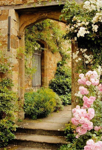 Vintage Stone Door Flowers Backdrop UK for Photo Studio G-611