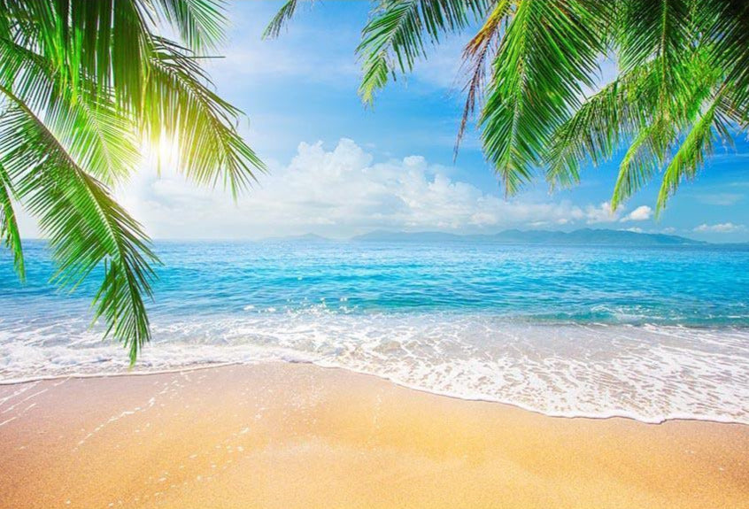 Seaside Sea Sandy Beach Summer Holiday backdrop UK G-698 – Dbackdropcouk