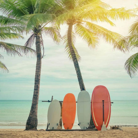 Summer Beach Coconut Aquaplan Backdrop for Photography  GA-82