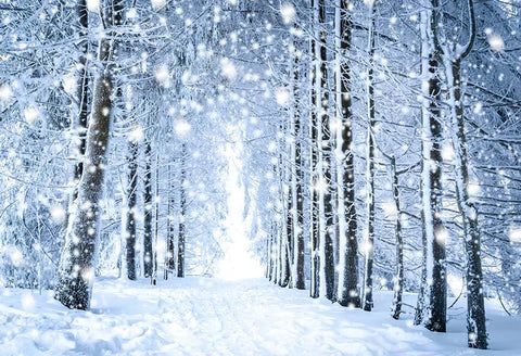 Beautiful White Forest Snow Scene Christmas backdrop UK GX-1070