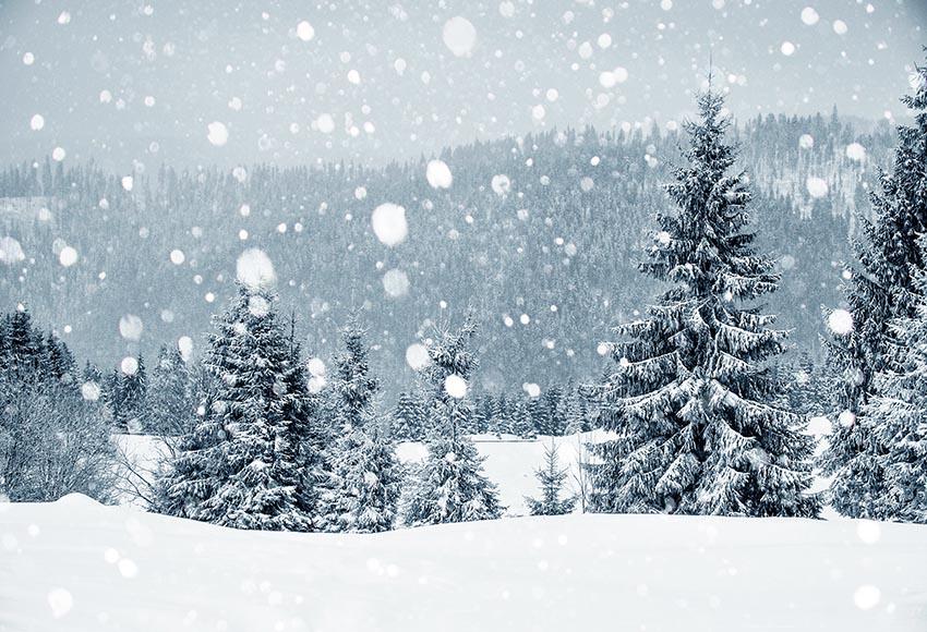 Gray Snow Scene backdrop UK for Christmas GX-1074