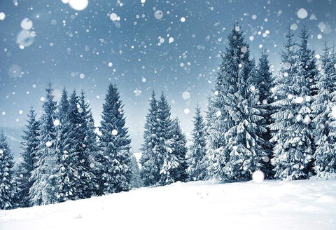 Winter Snow Christmas Trees backdrop UK for Photography GX-1077